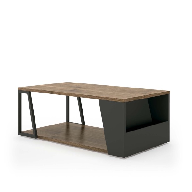 ALBI COFFEE TABLE
