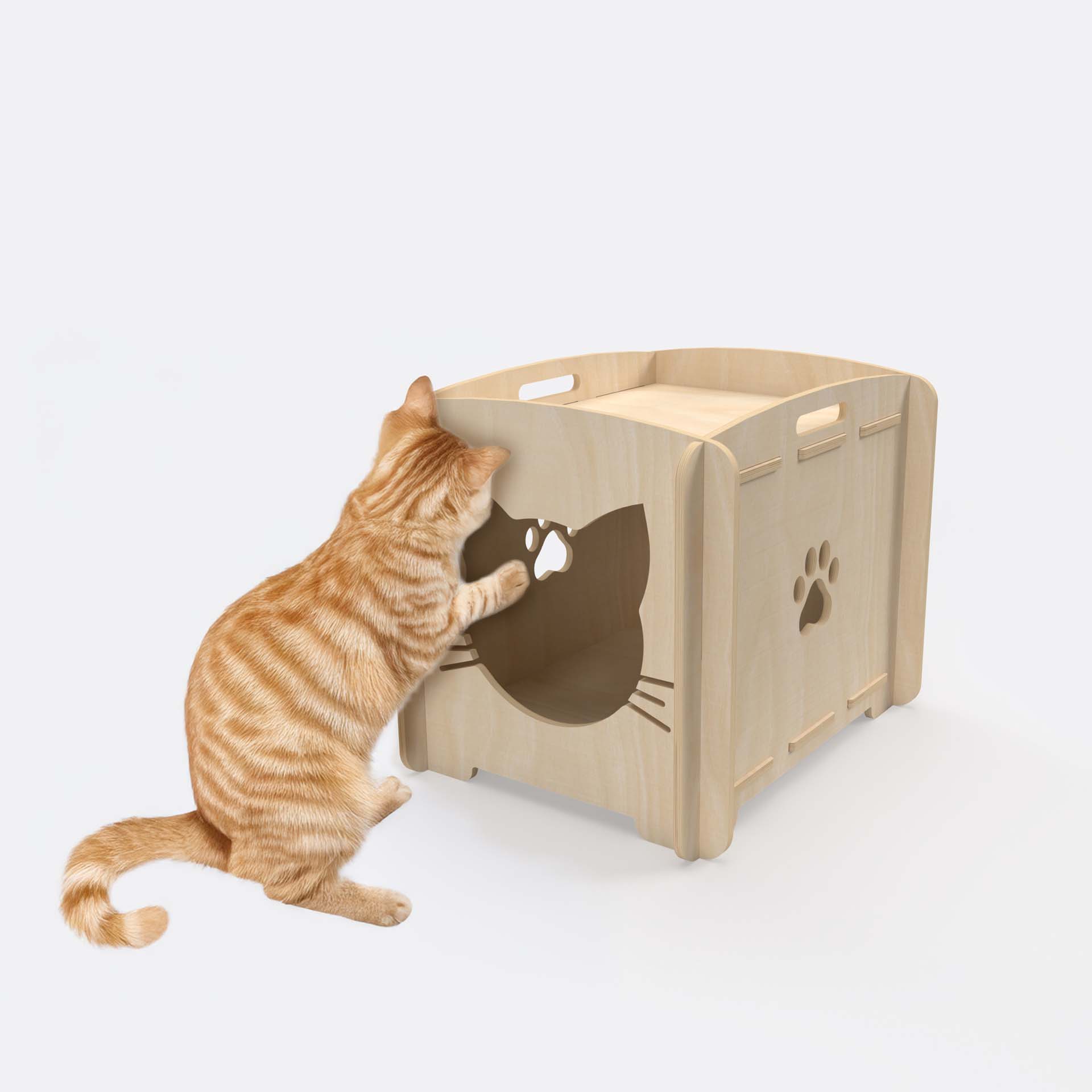 CAT HOUSE Natural Birch Plywood